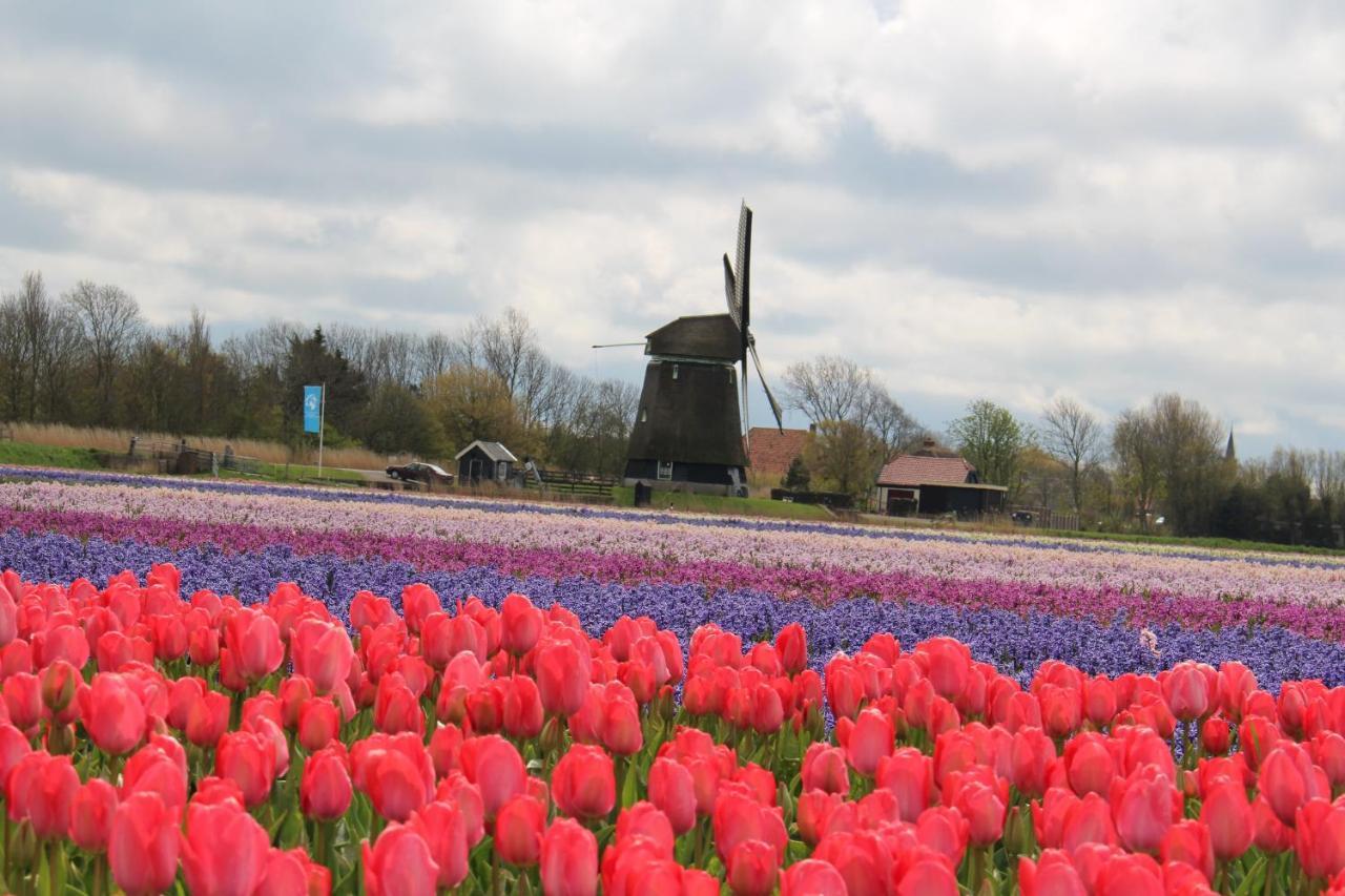 Vogelvrij, Vakantie Woning Met Landelijk Uitzicht En Geheel Omheinde Tuin Burgerbrug Esterno foto